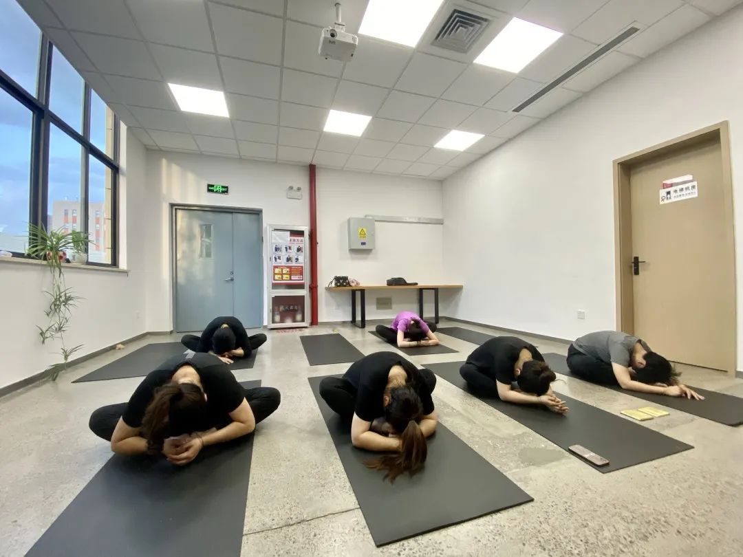 夏日炎炎， 中泰“瑜”你攜手同行